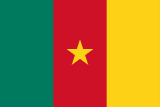 Cameroon flag large
