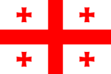 Georgia flag large