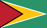 Guyana flag large