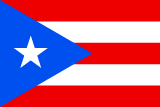 Puerto Rico flag large