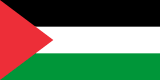 State Of Palestine flag large