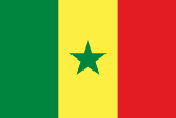 Senegal flag large