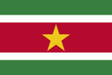 Suriname flag large