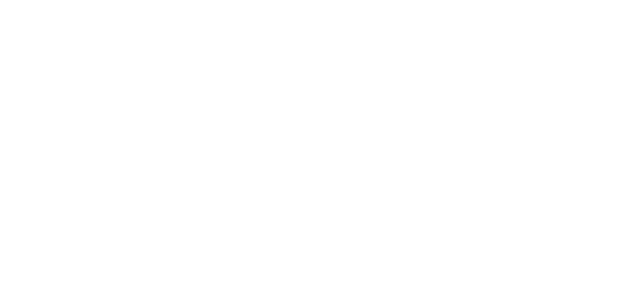 Concierto FM 95.1