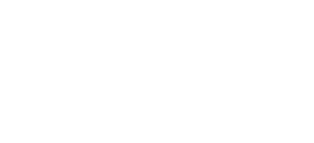 Everything Is New