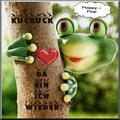 Flip Flop-Radio