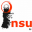 Insular FM