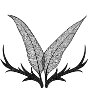 Phaune radio