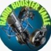 RADIO BOSSTER VALLE 