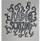 Schizoid Radio - Chillout / Ambient
