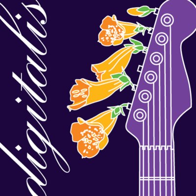 SomaFM Digitalis (32k MP3)