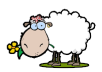 Wandering Sheep Radio - Christian Smooth Jazz