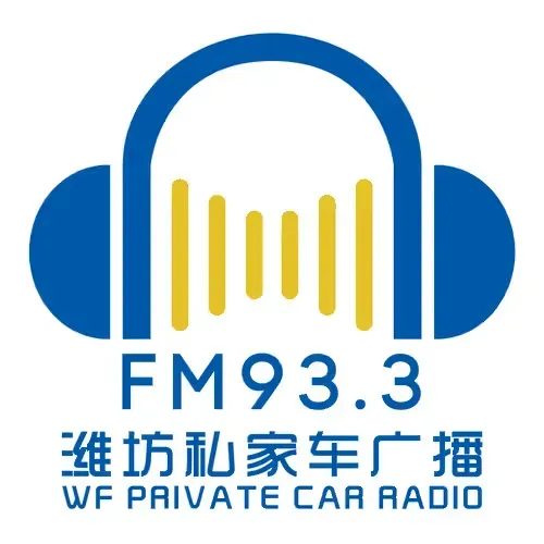 Weifang Private Car Radio