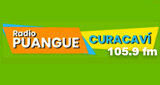 Radio puangue