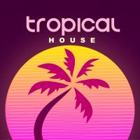 Spinner-Tropical House