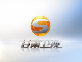 甘肃卫视伴音