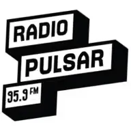 Radio Pulsar