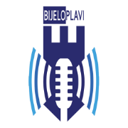 Bijelo-plavi radio