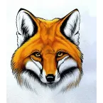 Радио Лисица