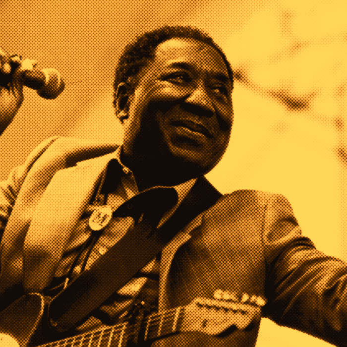 Muddy Waters