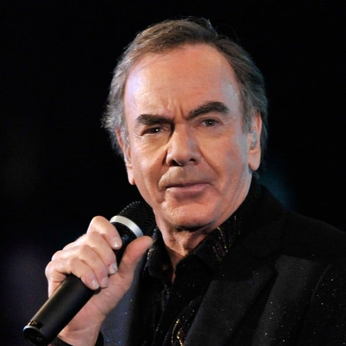 Neil Diamond - HITS