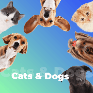 Cats & Dogs