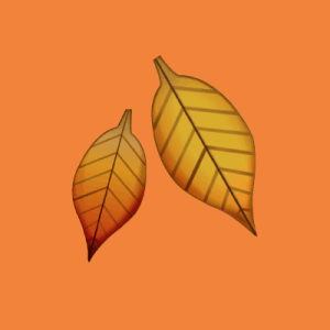 Осенняя музыка