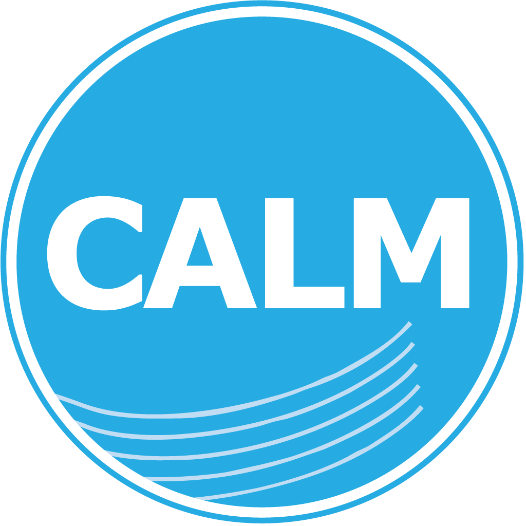 Calm Radio - Flute